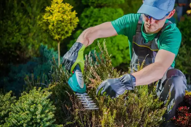 landscaping services Albion